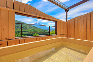 Bath at the private open-air bath 